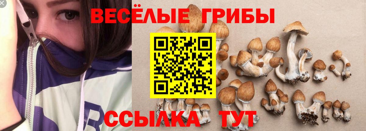 Псилоцибиновые грибы GOLDEN TEACHER  Вход с VPN  Галлюциногенные грибы MAGIC MUSHROOMS  Звенигород 